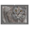 Maine Coon Aquarelle (Wandkalender 2026 DIN A2 quer), CALVENDO Monatskalender: