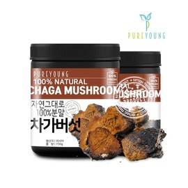 Pure Young Russian Chaga Mushroom Powder 150g+150g Chaga Mushroom Collection / 퓨어영 러시아 차가버섯 분말 150g+150g 차가버섯모음