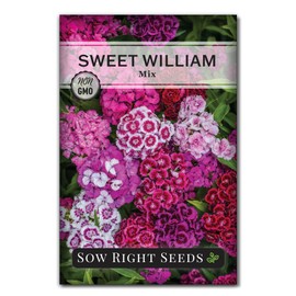 Sow Right Seeds - Sweet William Mix Flower Seeds for Planting - Beautiful and Edible Biennal Variety - Non-GMO Heirloom Packet to Plant Home Flower Garden - Fragrant Blooms to Attract Pollinators