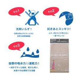 Teijin Achikocchi Dish Towel, Large, Gray, 2 Piece Set, 13.0 x 19.7 inches (33 x 50 cm), Made in Japan, Microfiber