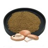 Shiitake Mushroom Extract Powder 1kg