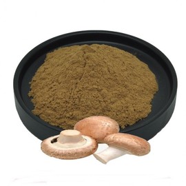 Shiitake Mushroom Extract Powder 1kg