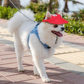 Dog Baseball Cap with Ear Holes, Adjustable Dog Sun Hat for Small Dogs Wide Brim UV Protection Breathable Pet Sun Hat with Chin Strap for Outdoor Walking Beach Summer Hiking Red S