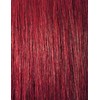 Outre Lace Front Wig - Melted Hairline - Hali (BURGUNDY)