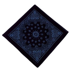 Gastro Club Original Premium Bandana (Black Blue Paisley Print)