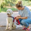 Nobby Norwegian Harness Mesh Preno, Light Blue, L: 38-50 cm