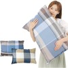 Amazing Harmony Pillowcase 50x70 Zipper No Hits (E)
