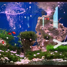 Beavorty 20 Piezas Conector De Manguera De Pecera Aire Adaptador De Manguera De Oxigeno Conjunto De Aerolíneas Conectores De Tubo De para Acuarios El Plastico Tanque Gasoil