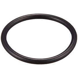 TOTO O Ring TH93004H