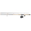 Daiwa Eliminator SW PMC