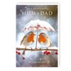 Mum and Dad Christmas Card - Wonderful Mum & Dad