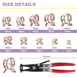 Knpwer Pack of 100 Hose Spring Clamps, 10 Sizes, Fuel Line, Hose Clamps, Hose Clamp, Fuel Line Clamp, 6-20 mm, with Hose Clamp Pliers