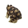 Nicky Bigs Novelties Giant Rubber Toad Prop Decoration, Multi, 25cm