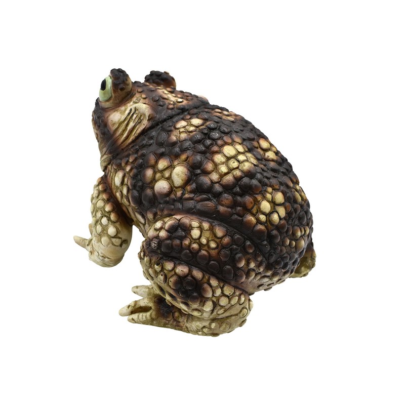Nicky Bigs Novelties Giant Rubber Toad Prop Decoration, Multi, 25cm