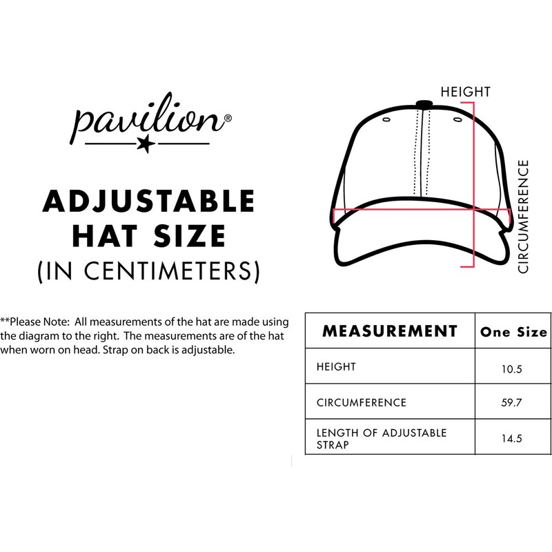 Pavilion Gift Company Snapback, White