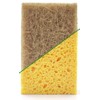 THEGREATERPLANET 10 Pck Biodegradable Sponges Kitchen Natural Dishes Plant Based