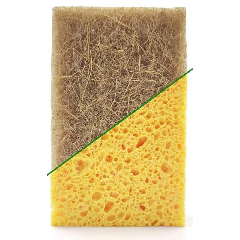 THEGREATERPLANET 10 Pck Biodegradable Sponges Kitchen Natural Dishes Plant Based
