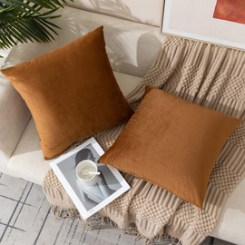 ETASOP Velvet Pillow Covers with Inserts Included 18x18, Pack of 2 Soft Solid Decorative Throw Pillows for Sofa Bedroom Car (Brown)