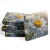 HEKU 100 napkins, 3-ply, 33 x 33 cm, daisies, absorbent