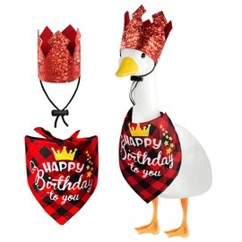 yoostooper Happy Birthday Goose Outfit Set, Hat and Scarf Accessory Set for 23" 17" Plastic/Cement Lawn Goose Statues, Birthday Party Outdoor Yard, Patio & Pathway Decor (Theme-Birthday)