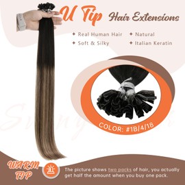 Sunny Hair U Tip Hair Extensions Human Hair Invisible Keratin Hair Extensions Straight Hair Extensions for Women 50G Black to Brown and Blonde 16inch