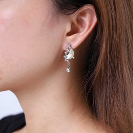 Inateannal Vintage Crystal Moon Star Earrings Silver Rhinestone Star Earrings Moonstone Half Moon Stud Earrings Sparkling CZ Moon Star Earrings Jewellery for Women and Girls, Zinc