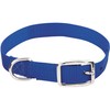 Nylon Dog Collar
