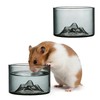 Acsist 2 Pcs Hamster Feeding & Water Bowls, Glass Hamster