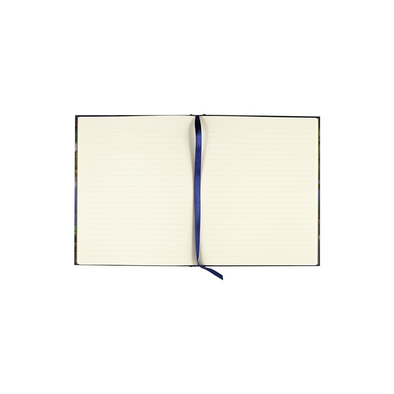 Peter Pauper Press Hummingbird Dreams Journal