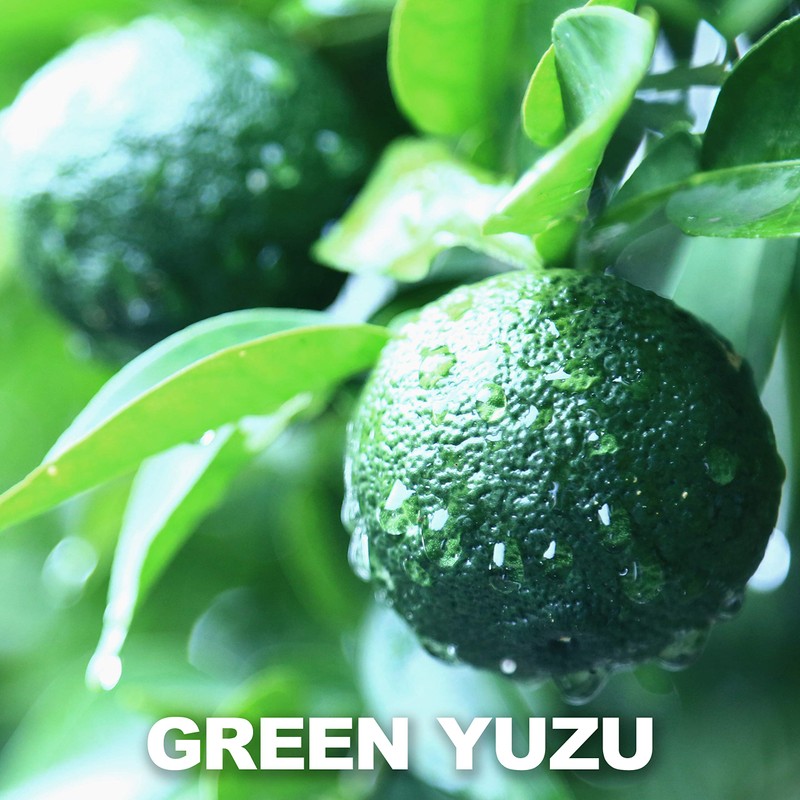 chaganju Yuzu Kosho Pepper Paste, Spices and Seasonings, Japanese Seasoning,