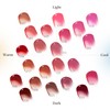 Laka Fruity Glam Tint #118 Adore Lip Color, Genuine Japanese