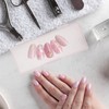 FOMIYES 4pcs Nail Kit Plastic to Go Containers Clear Container