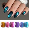 Born Pretty Cat Magnetic Eye Gel Nail Polish Glitter Auroras