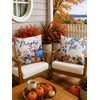 Fall Pillow Covers 18x18 Set of 2 Velvet Farmhouse Rustic