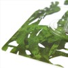 Toyo Case Harry Petter Triplicate HP-T-07 Kitchen Tool Hook, Green,