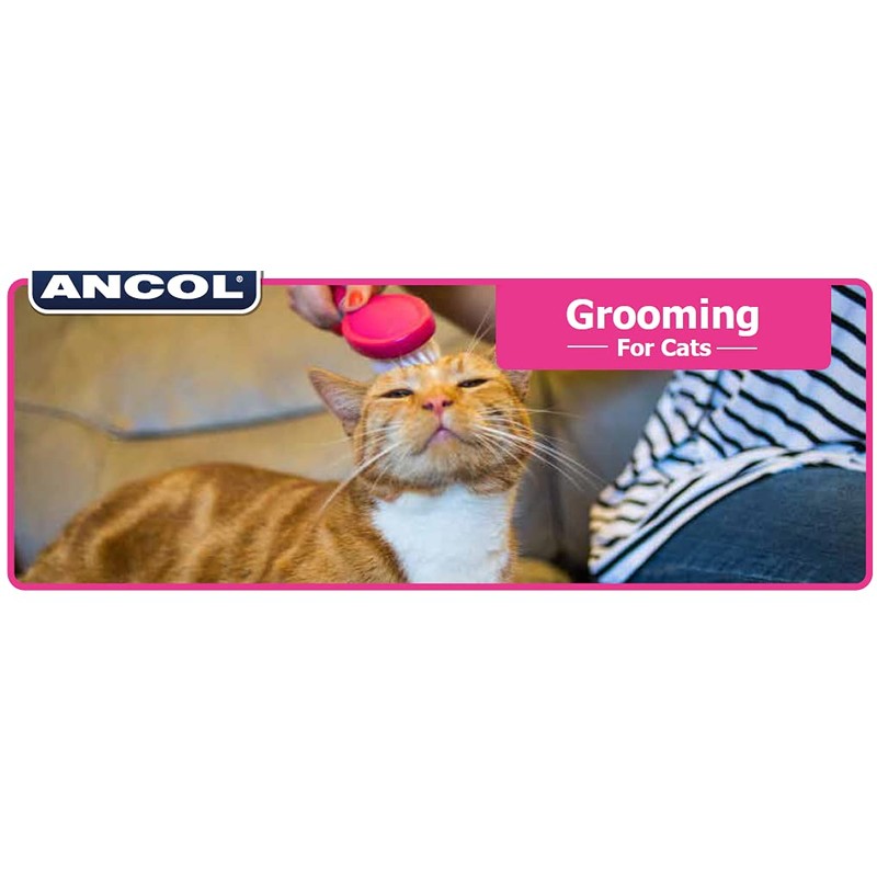 Ancol Ergo Fine Cat Comb