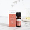 Tisserand Ginger Organic Pure Essential Oil 9ml