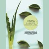 Crema Protectora Hidratante Ligera Florigan 1lt