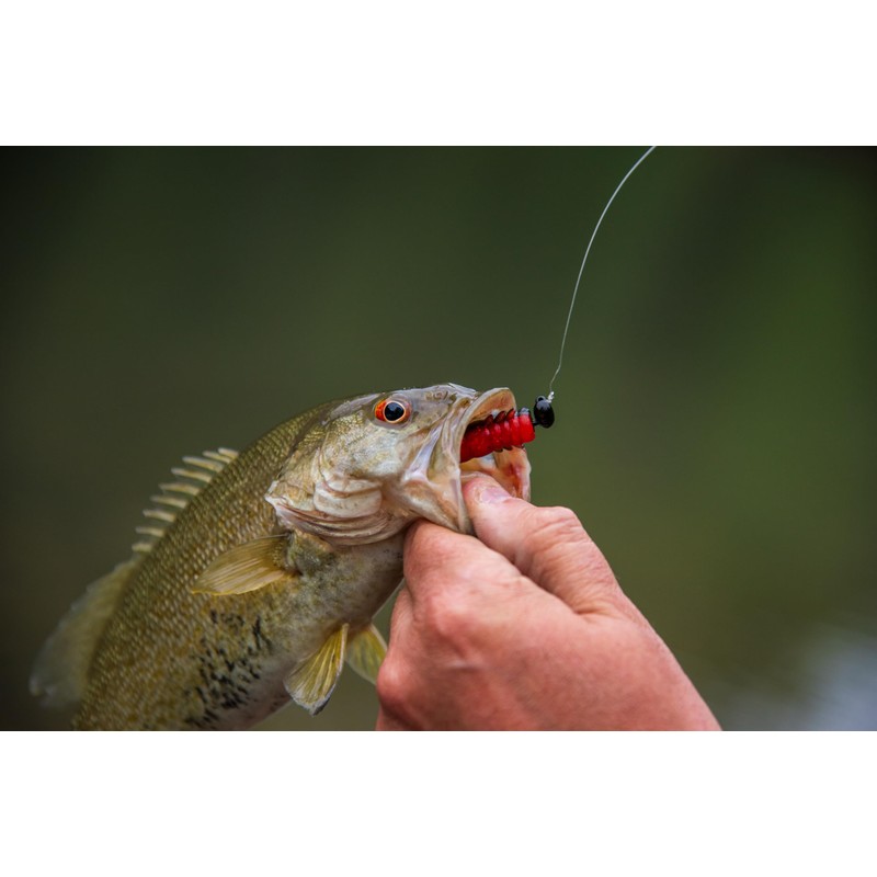 Rebel LIVEFLEX™ Cata Crawler Soft Plastic - Wooly Bear -