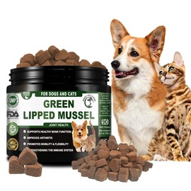Green Lipped Mussel for Dogs and Cats | Cat and Dog Joint Supplements to Reduce Stiffness and Improve Mobility with Turmeric Glucosamine Chondroitin MSM Curcumin | Cat Dog Joint Care (TUB OF CHEWS)