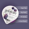 High Protein Sugar Free Gelatin |Gelatein Grape| 12 Servings