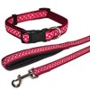 RED/SPOTTY COLLAR 14-20IN