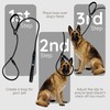 Harpers Tale Reflective Black Rope Slip Lead Innovative Design with