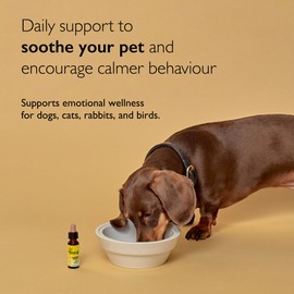 RESCUE Remedy Pet Dropper 20ml, Separation, Travel, Noise Calming for Dogs, Cats, & Other Pets, Homeopathic Flower Essence, Thunder, Fireworks, Travel, Separation, Alcohol Free