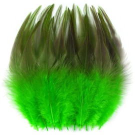 Holmgren Green Rooster Feathers Bulk - 200pcs 5-7inch Rooster Feathers Bulk DIY Pendant Earrings, Dream Catcher and Home Party Decorations (Green)