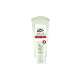 Fruitland Seasonal Houttuynia Cordata Trouble Care Cleansing Foam / 과일나라 계절담은 어성초 트러블케어 클렌징폼
