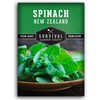 New Zealand Spinach Seed for Planting - 1 Packet with