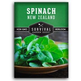 New Zealand Spinach Seed for Planting - 1 Packet with Instructions to Plant & Grow Tetragonia Tetragonoides in Your Home Vegetable Garden - Non-GMO Heirloom Variety - Survival Garden Seeds