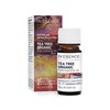 In Essence Australian Native Tea Tree Organic Pure Essential Oil