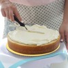 Generic [20/40/100pcs] 8 in White Cakeboard Round,Disposable Cake Circle Base